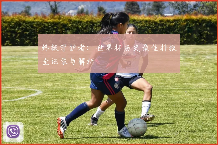 终极守护者：世界杯历史最佳扑救全记录与解析