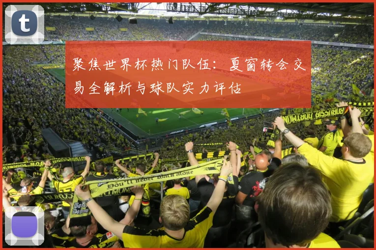 聚焦世界杯热门队伍：夏窗转会交易全解析与球队实力评估